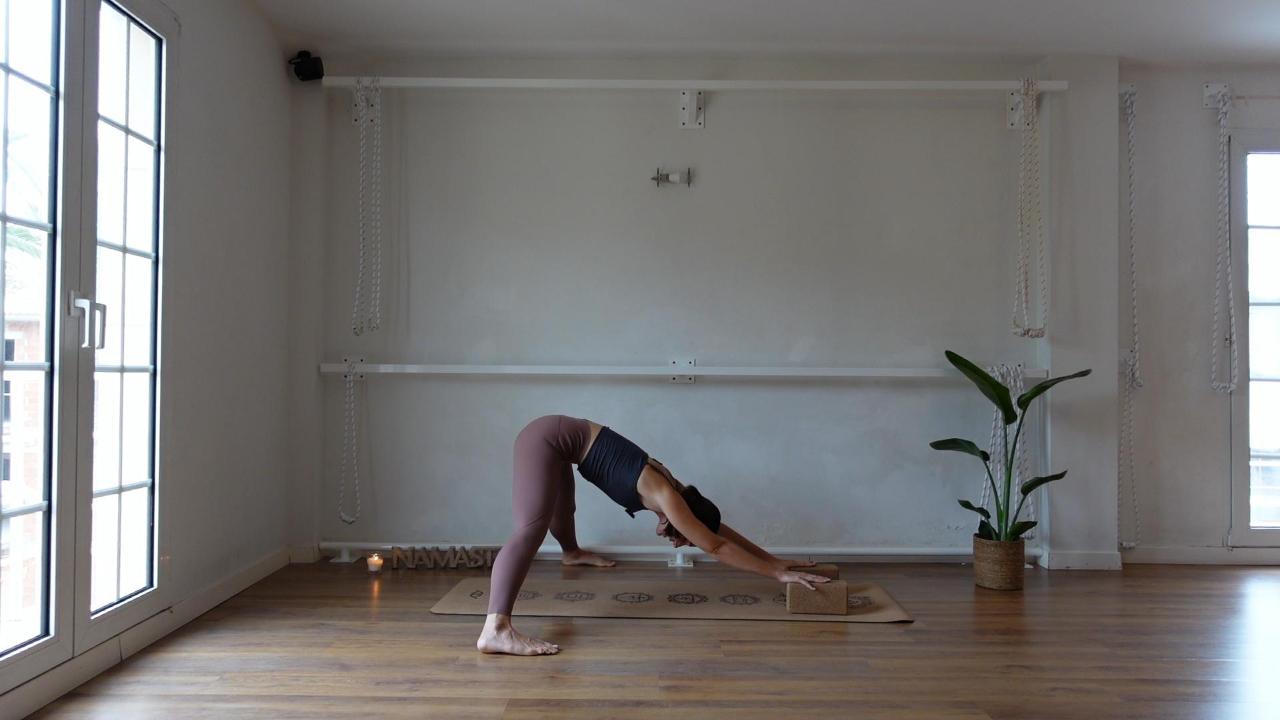 Prasarita padottanasana