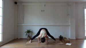 prasarita padottanasana