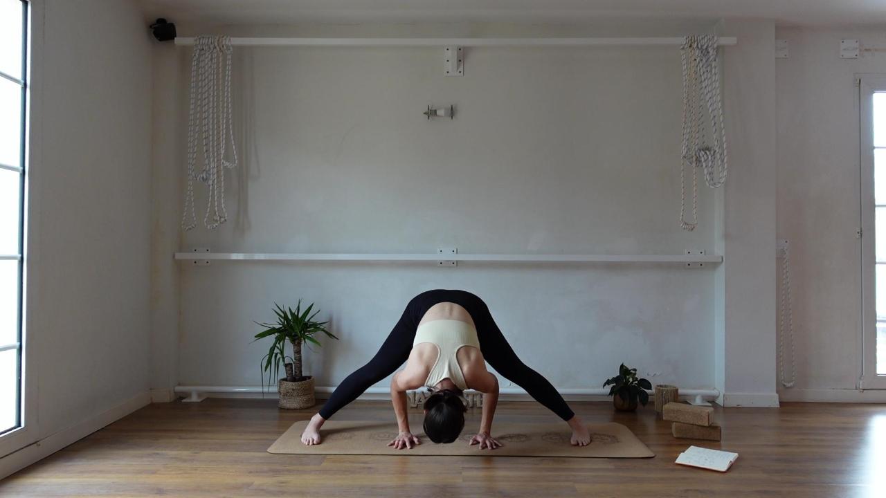 prasarita padottanasana