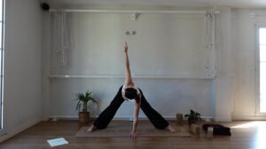 Prasarita padottanasana