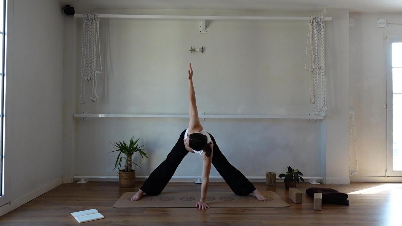 Prasarita padottanasana