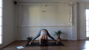 prasarita padottanasana